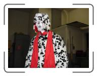 carnaval_2006_04 * 2592 x 1944 * (2.1MB)